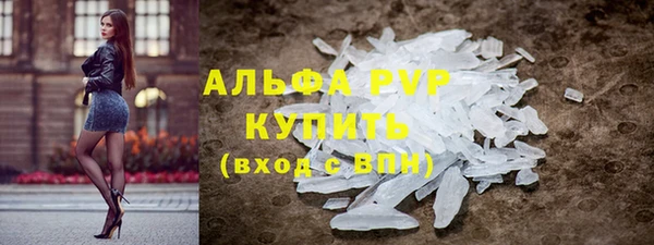 хмурый Белая Холуница