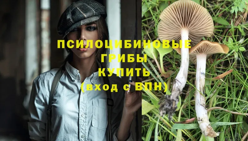 Галлюциногенные грибы MAGIC MUSHROOMS  Пошехонье 